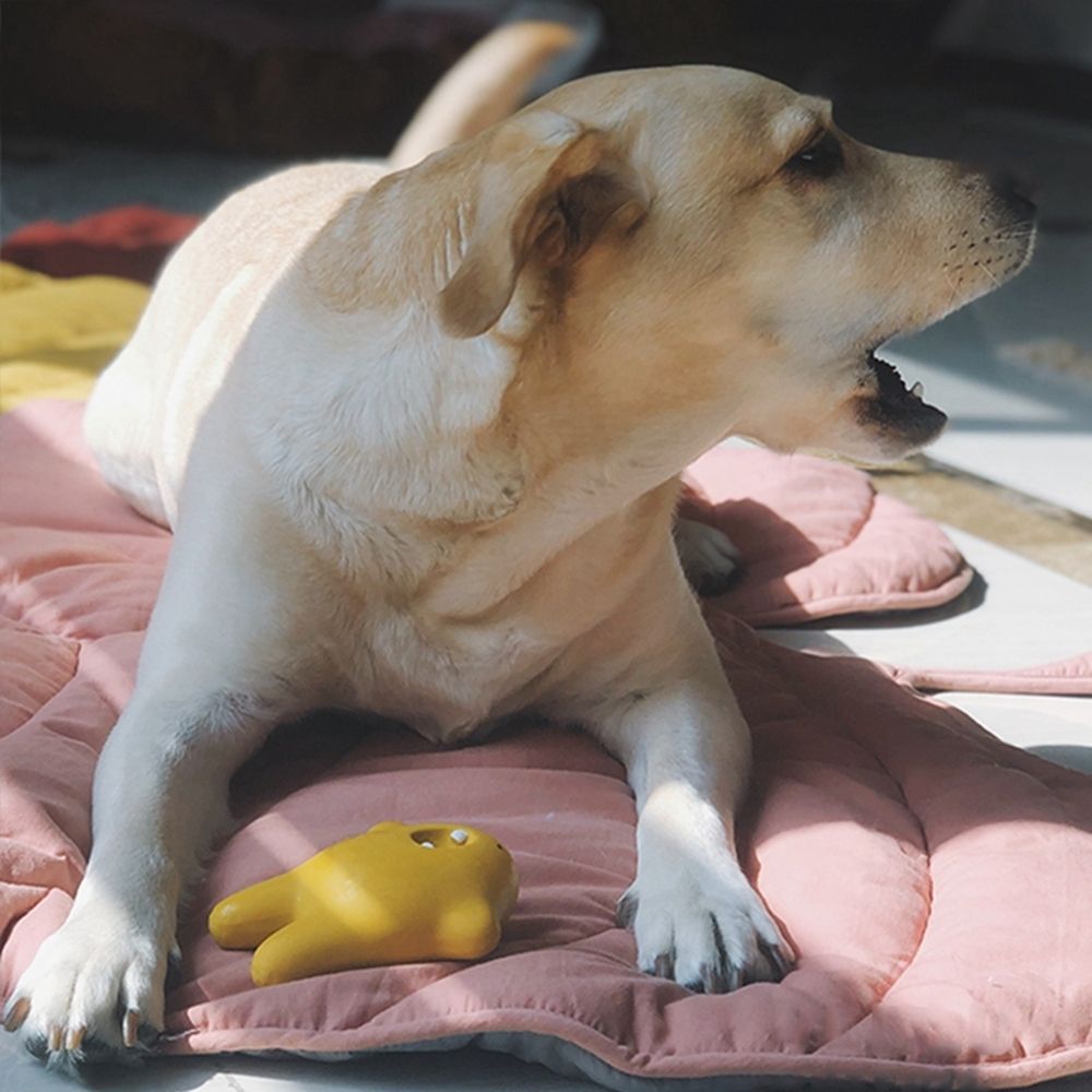 Tapete refrescante em forma de folha para cães, respirável e lavável à máquina