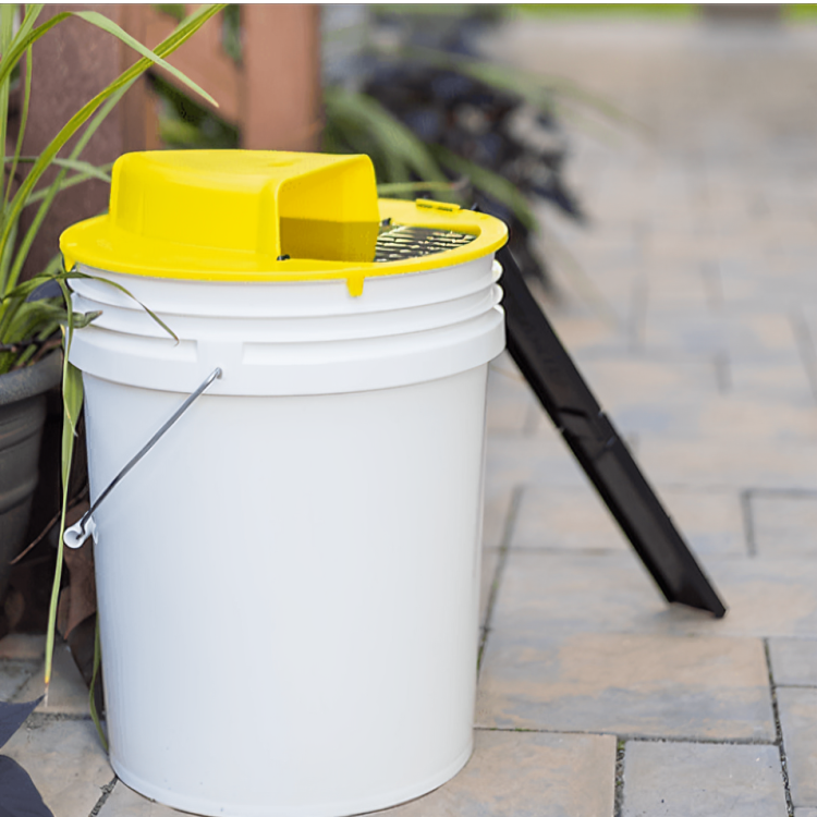 Self-Resetting Flip Rodent Trap For Poison-Free Home Pest Control