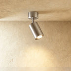 LumenArc Cylinder Surface Mount Spotlight Brushed Metal Finish