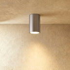 LumenArc Cylinder Surface Mount Spotlight Brushed Metal Finish