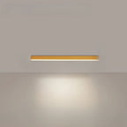 Lâmpada de Teto Minimalista com Design Escandinavo e Luminosidade Potente - Fioriscas