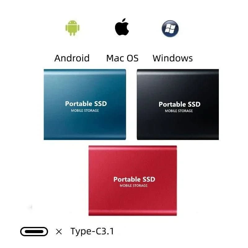 Hard disk esterno da 100GB con connessione USB-C e USB 3.1 ultra veloce - Fioriscas