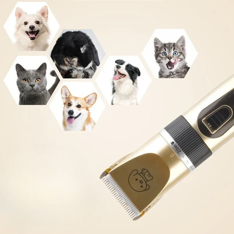 Tondeuse sans fil pour chiens, moteur silencieux, batterie rechargeable