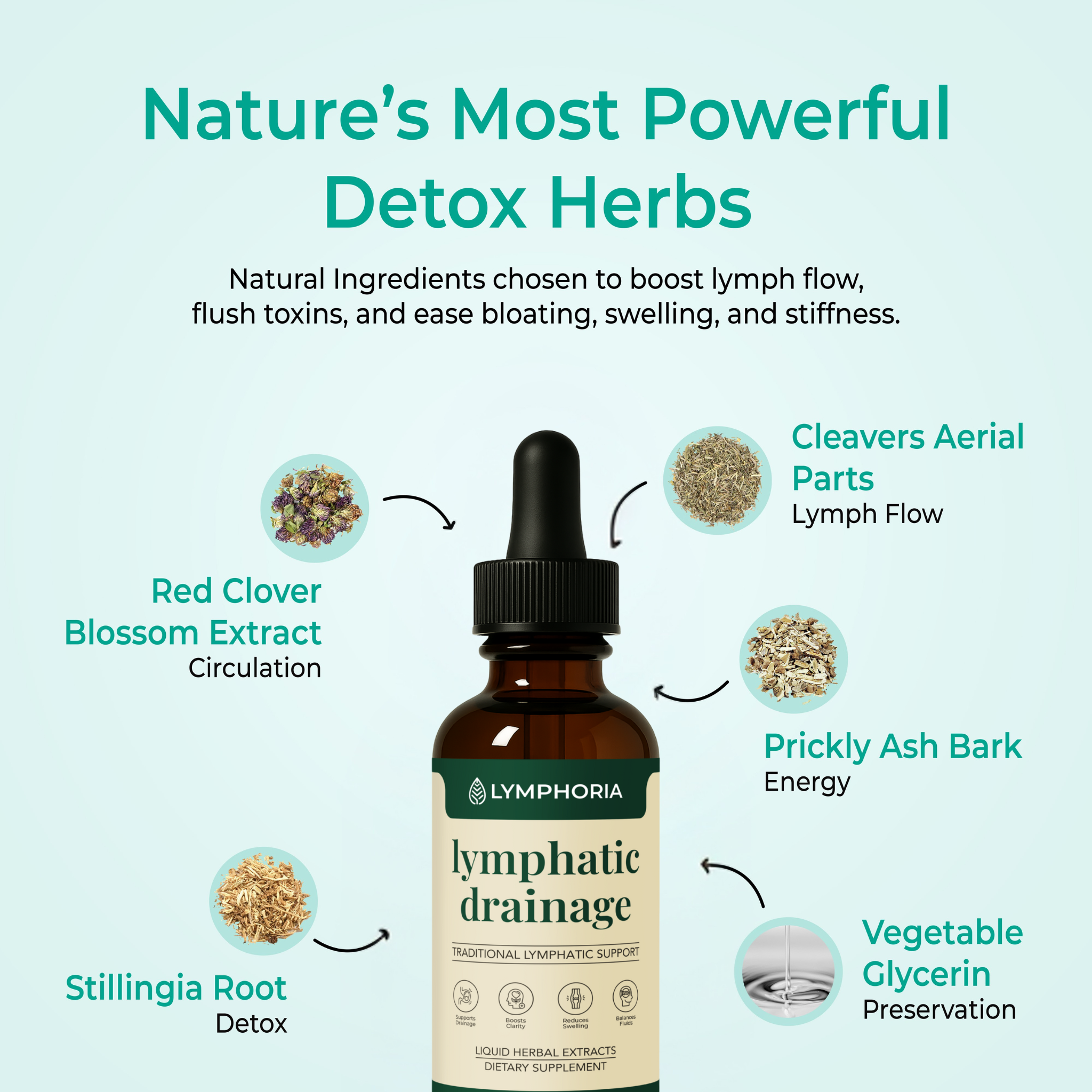 Lymphatic Drainage Herbal Drops with Traditional Botanical Extracts | Fioriscas