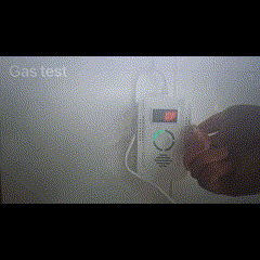 2-in-1 Home Alarm For Gas Leaks, Carbon Monoxide Detection