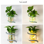 花瓶ホルダー内蔵の木製LED壁掛けライト - Fioriscas