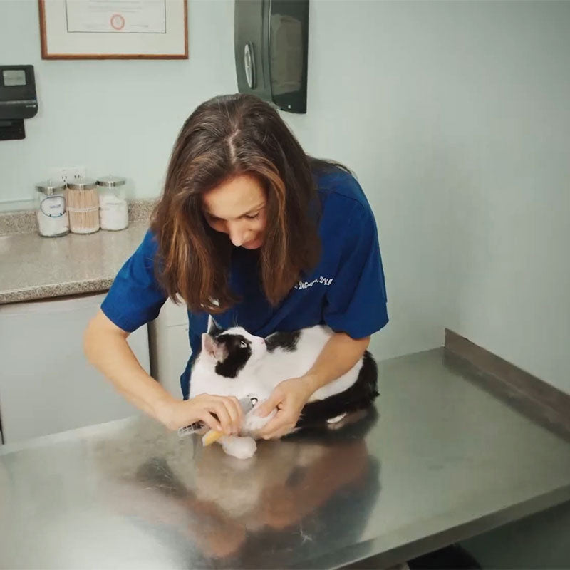 Kleště na drápky pro psy PawGuard Pro se senzorem pro rychlou detekci živé části drápku