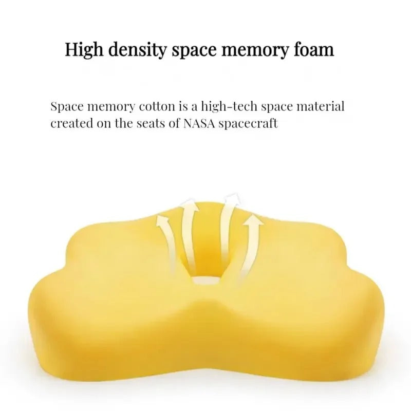 NovaLum Memory Foam Lumbar & Seat Cushion Set for Car and Office