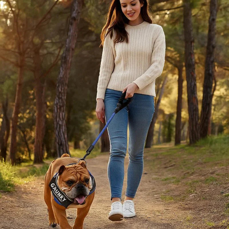 Peitoral personalizável para cães, para conforto e segurança - Fioriscas