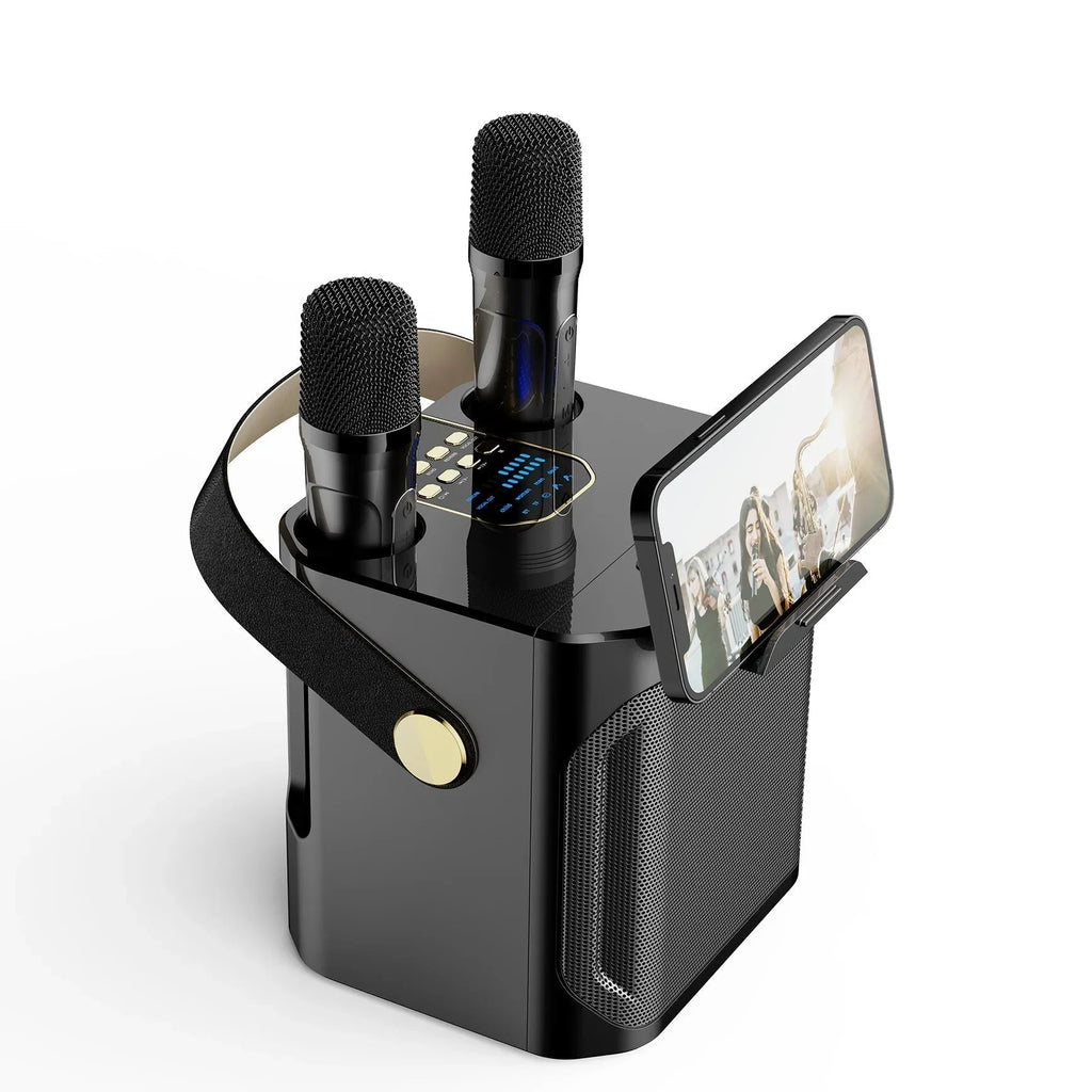 100W Portable Karaoke Machine With Bluetooth 5.3 & Dual Wireless Mics