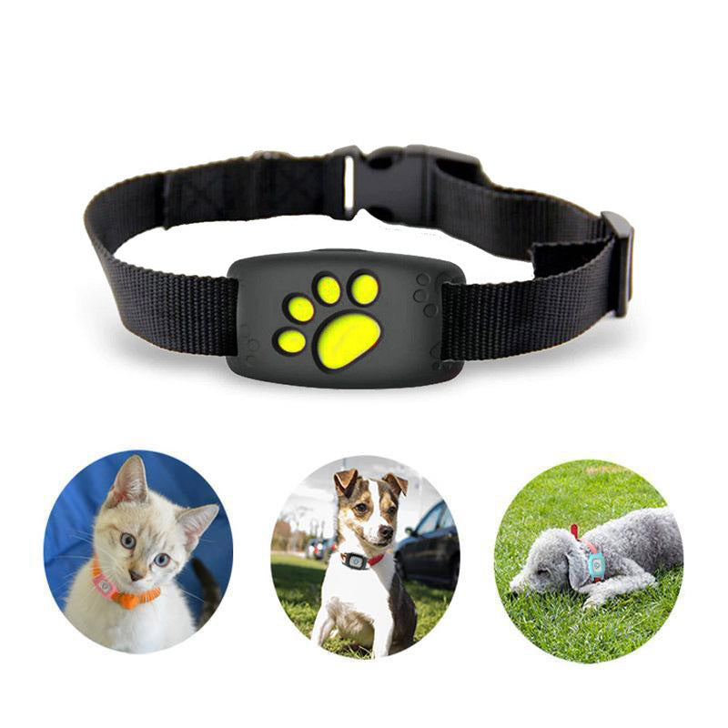 WhiskerGuard-kattehalsbånd med live-GPS-position og geofence-advarsler