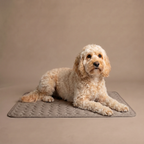 ChillDog Pressure Activated Self Cooling Pet Mat For Indoor Or Outdoor Use