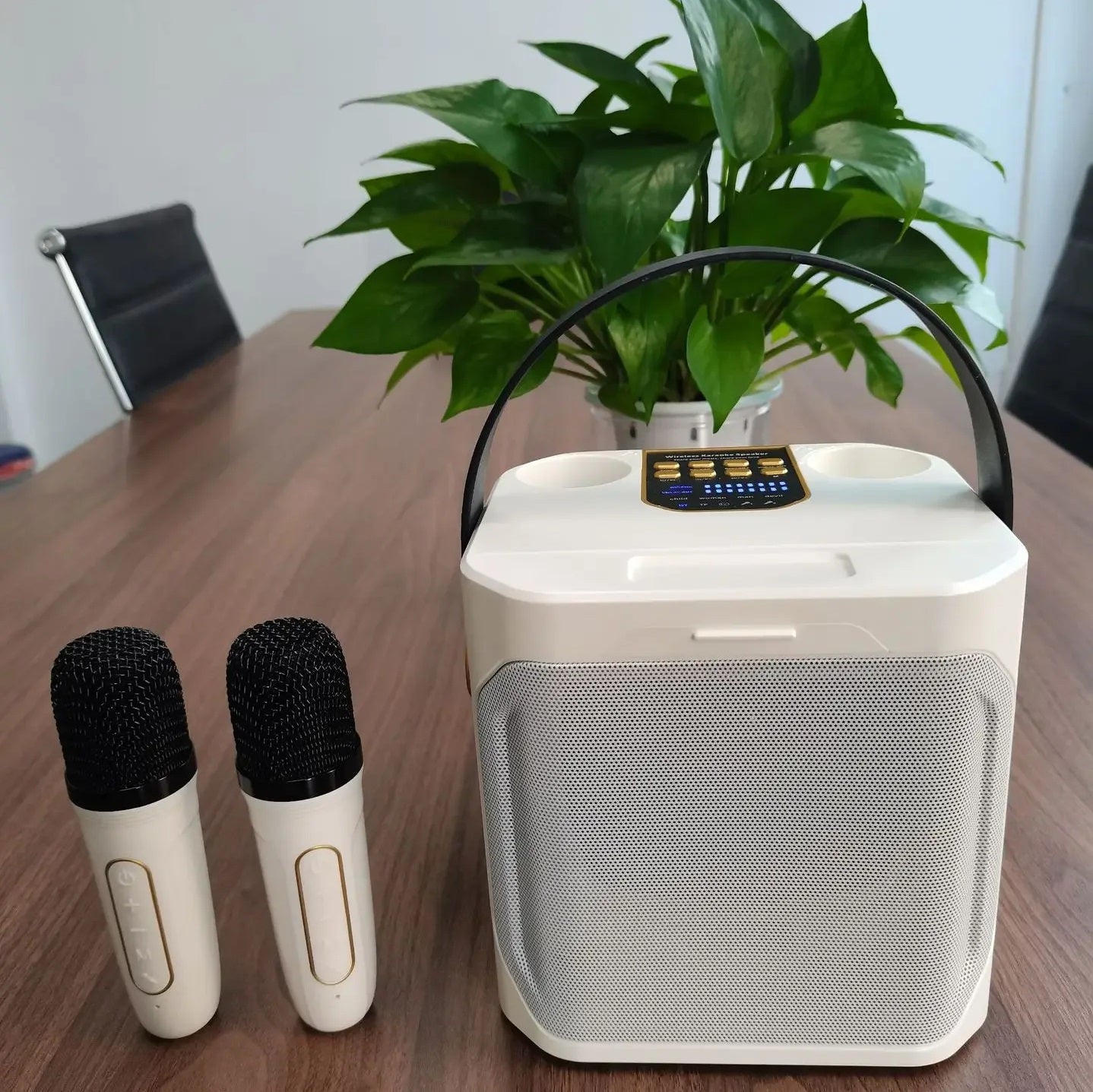 100W Portable Karaoke Machine With Bluetooth 5.3 & Dual Wireless Mics