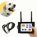 Sistema de cerca e treino para cães sem fios - Fioriscas