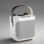 100W Portable Karaoke Machine With Bluetooth 5.3 & Dual Wireless Mics