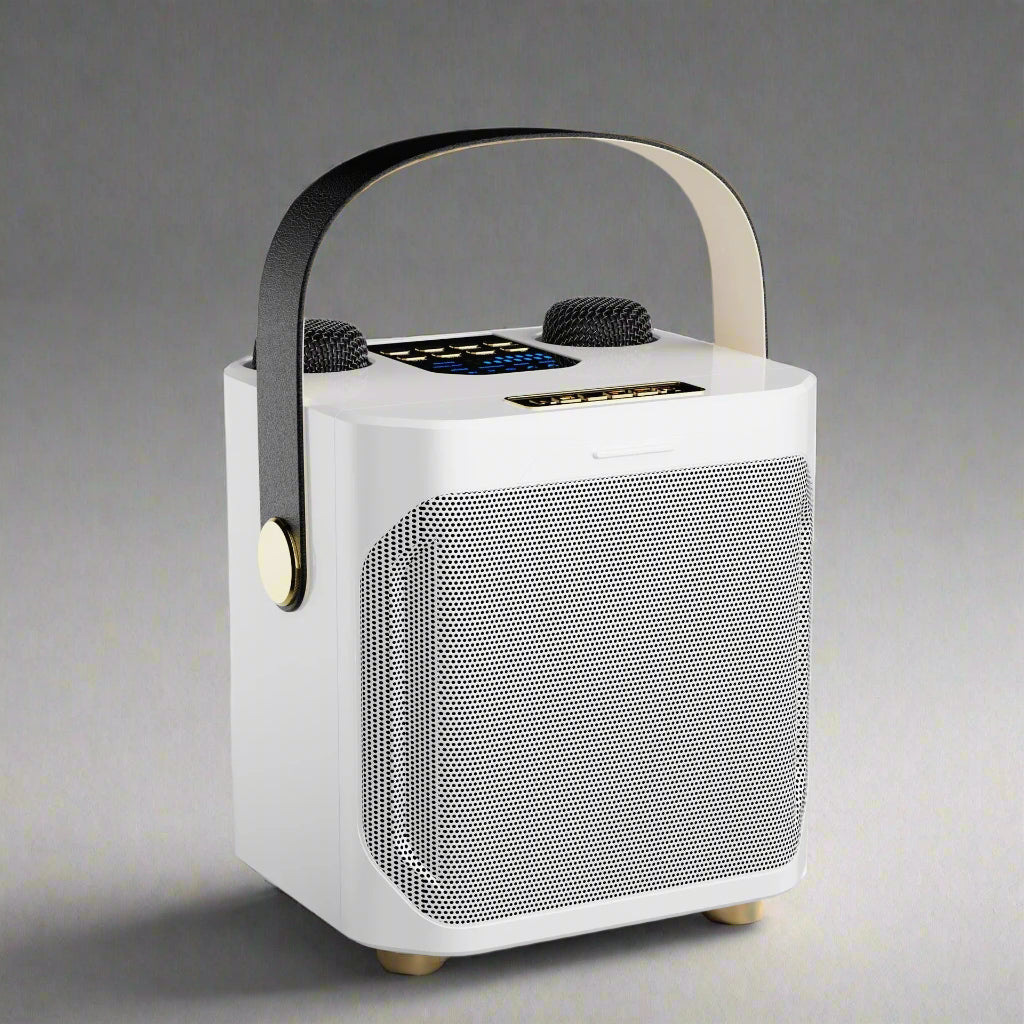 100W Portable Karaoke Machine With Bluetooth 5.3 & Dual Wireless Mics