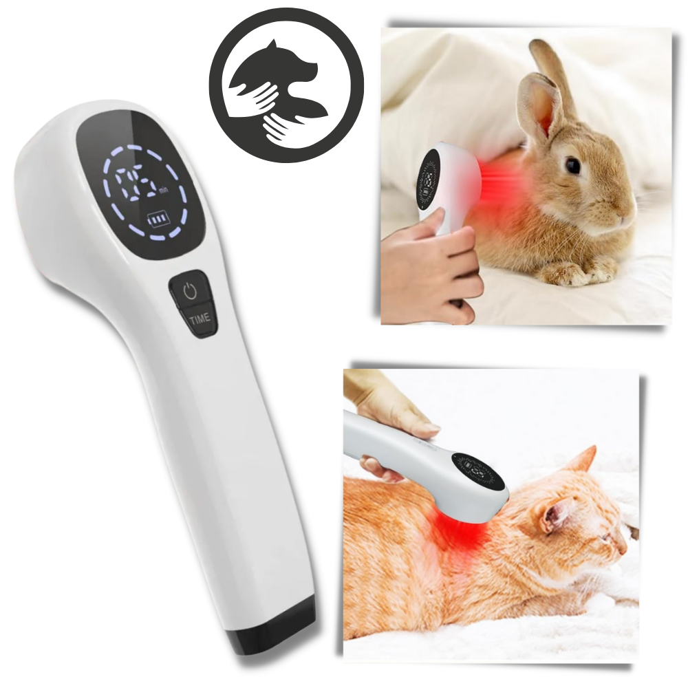CanineLuma-laserhoito tukemaan koiran hyvinvointia ja ihoa