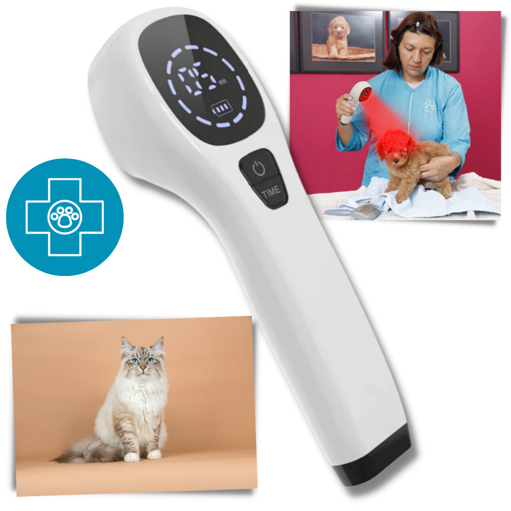 CanineLuma-laserhoito tukemaan koiran hyvinvointia ja ihoa