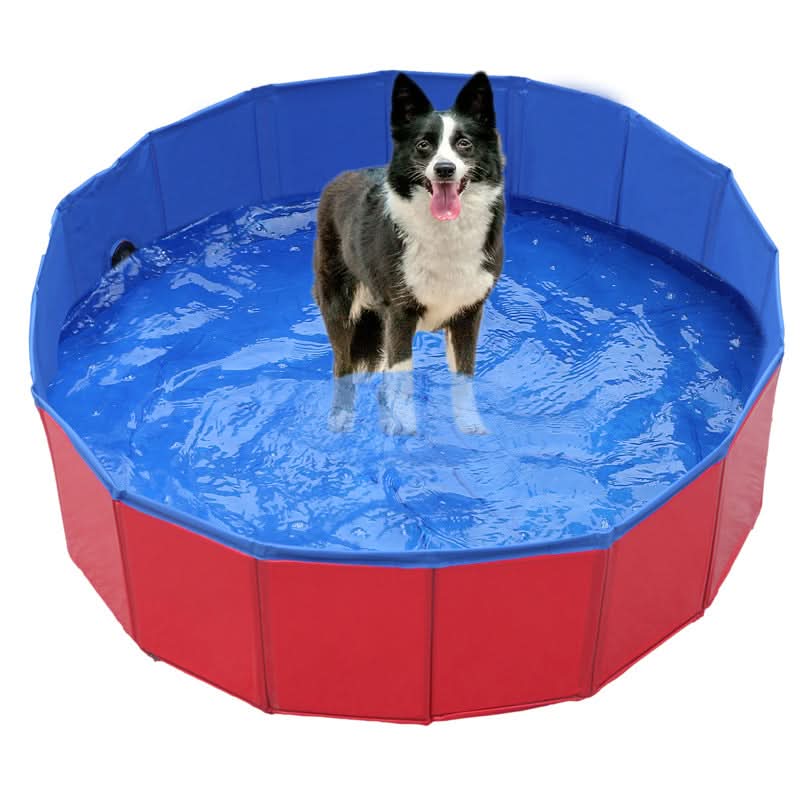 Sammenfoldelig PVC-hundepool til varme sommerdage - Fioriscas