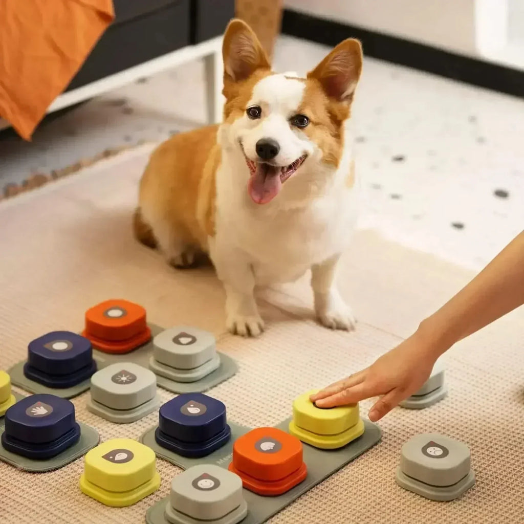Interaktive Kommunikationsknöpfe für Hunde mit Aufnahmefunktion - Fioriscas