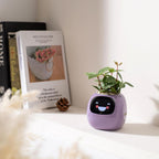 Alexa対応、ジェスチャーで作動するIvyスマート植木鉢コンパニオン | Fioriscas