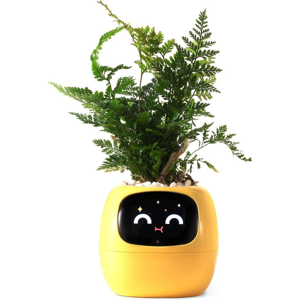 Alexa対応、ジェスチャーで作動するIvyスマート植木鉢コンパニオン | Fioriscas