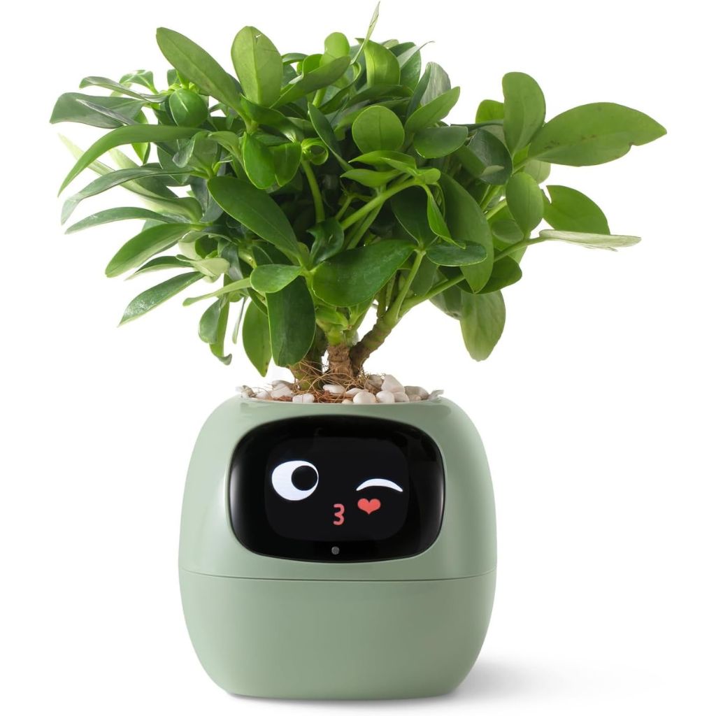 Alexa対応、ジェスチャーで作動するIvyスマート植木鉢コンパニオン | Fioriscas