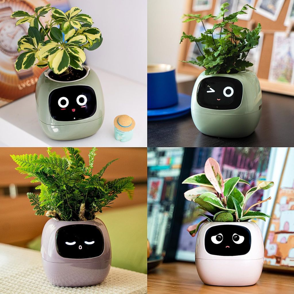 Alexa対応、ジェスチャーで作動するIvyスマート植木鉢コンパニオン | Fioriscas