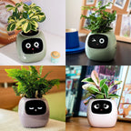 Alexa対応、ジェスチャーで作動するIvyスマート植木鉢コンパニオン | Fioriscas