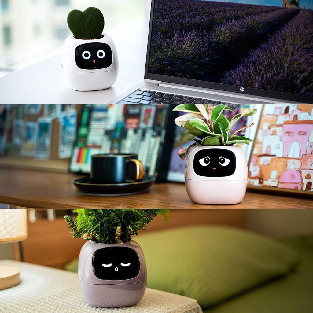 Alexa対応、ジェスチャーで作動するIvyスマート植木鉢コンパニオン | Fioriscas