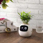 Alexa対応、ジェスチャーで作動するIvyスマート植木鉢コンパニオン | Fioriscas