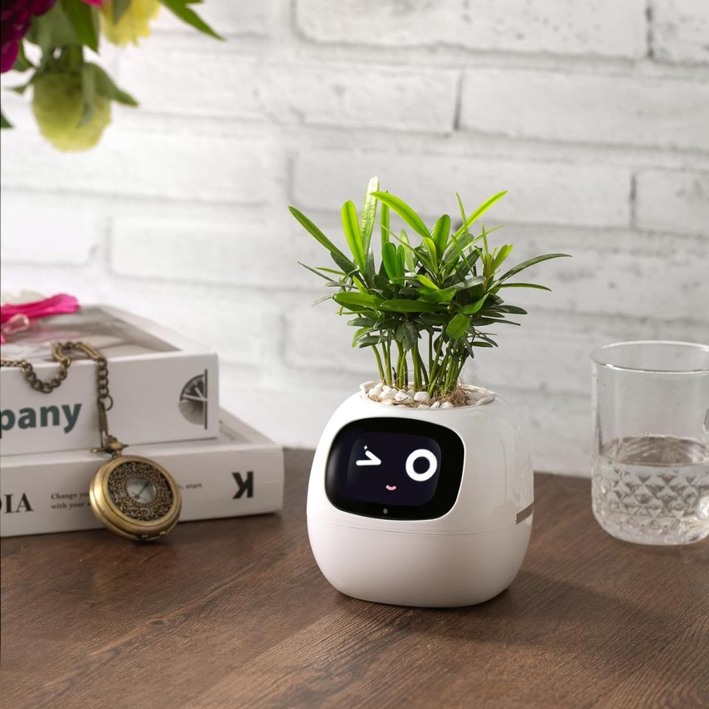 Alexa対応、ジェスチャーで作動するIvyスマート植木鉢コンパニオン | Fioriscas