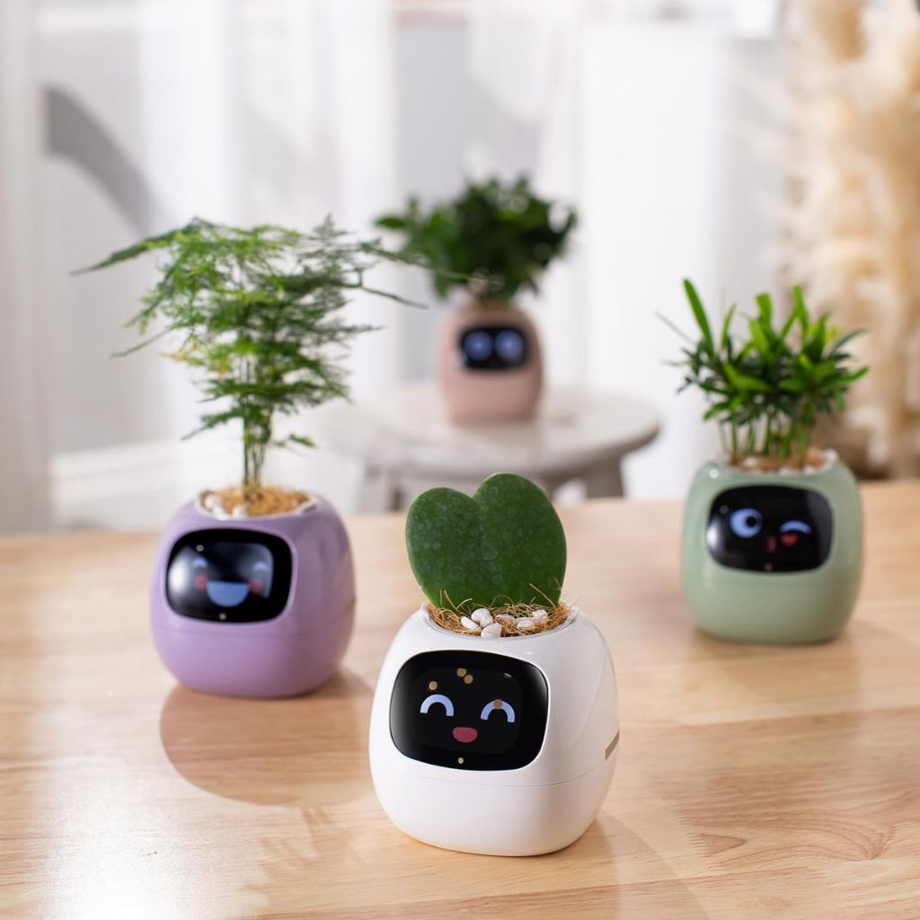 Alexa対応、ジェスチャーで作動するIvyスマート植木鉢コンパニオン | Fioriscas