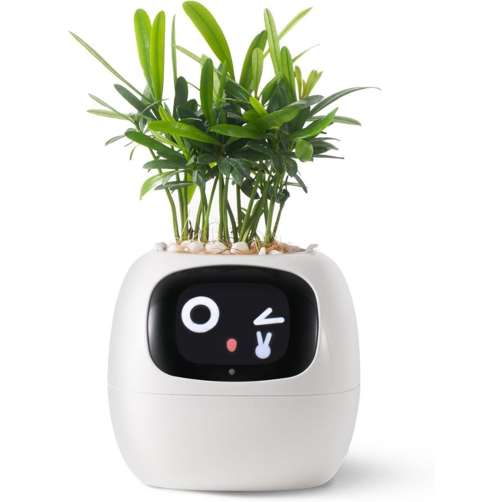 Alexa対応、ジェスチャーで作動するIvyスマート植木鉢コンパニオン | Fioriscas