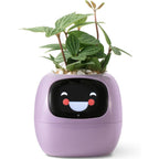 Alexa対応、ジェスチャーで作動するIvyスマート植木鉢コンパニオン | Fioriscas