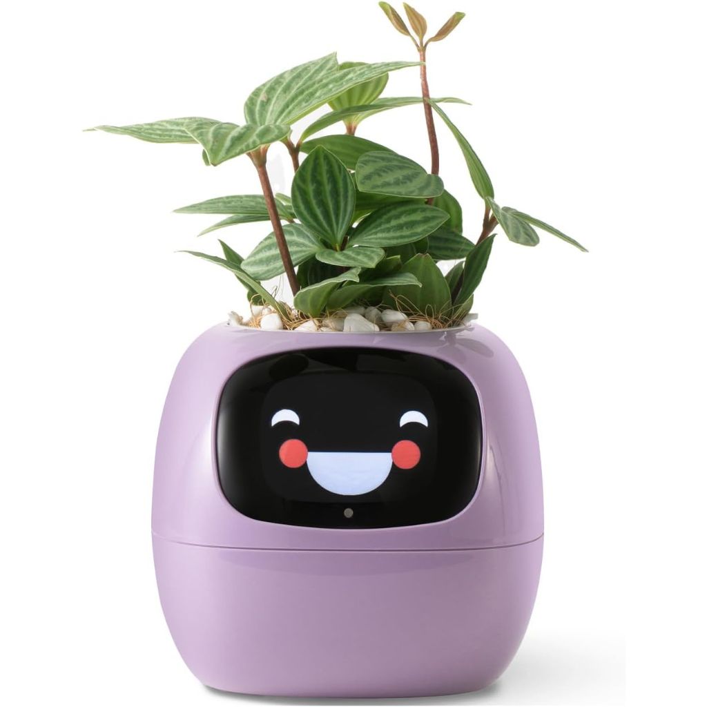 Alexa対応、ジェスチャーで作動するIvyスマート植木鉢コンパニオン | Fioriscas