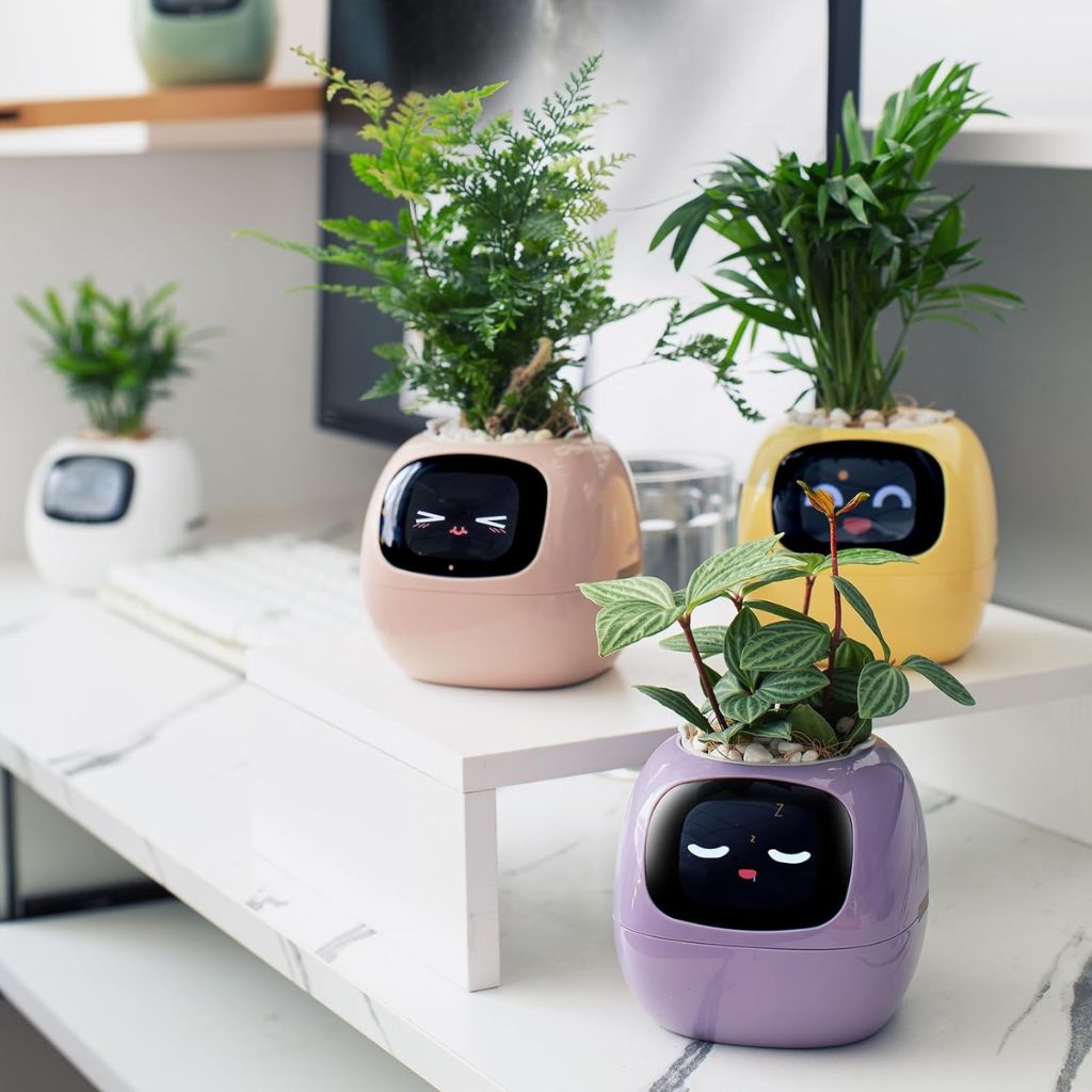 Alexa対応、ジェスチャーで作動するIvyスマート植木鉢コンパニオン | Fioriscas