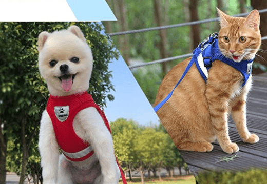 Arnés para gatos a prueba de escapes con detalles reflectantes - Fioriscas