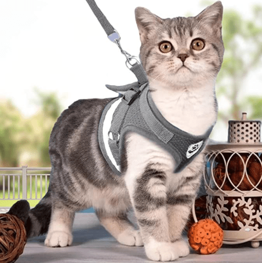 Arnés para gatos a prueba de escapes con detalles reflectantes - Fioriscas
