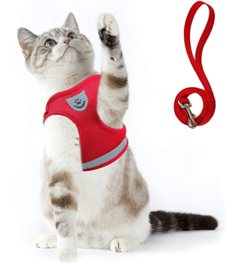 Arnés para gatos a prueba de escapes con detalles reflectantes - Fioriscas