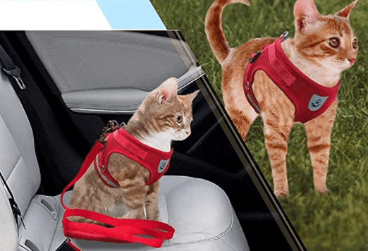 Arnés para gatos a prueba de escapes con detalles reflectantes - Fioriscas