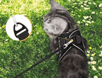 Arnés para gatos a prueba de escapes con detalles reflectantes - Fioriscas