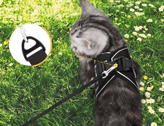 Arnés para gatos a prueba de escapes con detalles reflectantes - Fioriscas