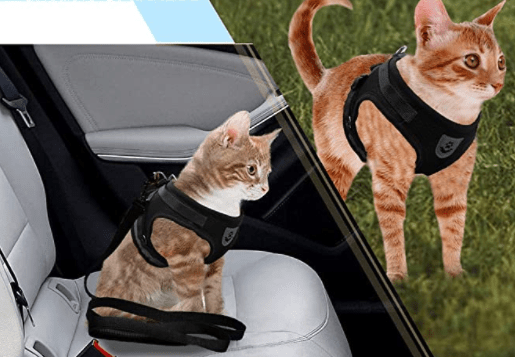 Arnés para gatos a prueba de escapes con detalles reflectantes - Fioriscas