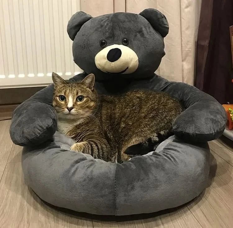 Lit douillet pour chat, sécurisant et confortable - Fioriscas