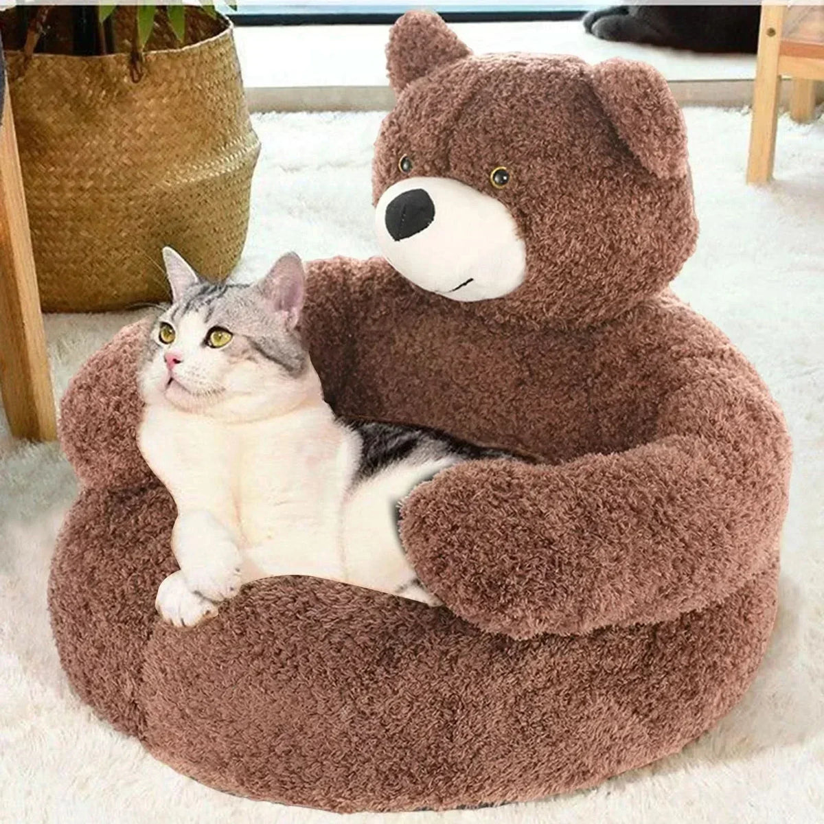 Lit douillet pour chat, sécurisant et confortable - Fioriscas