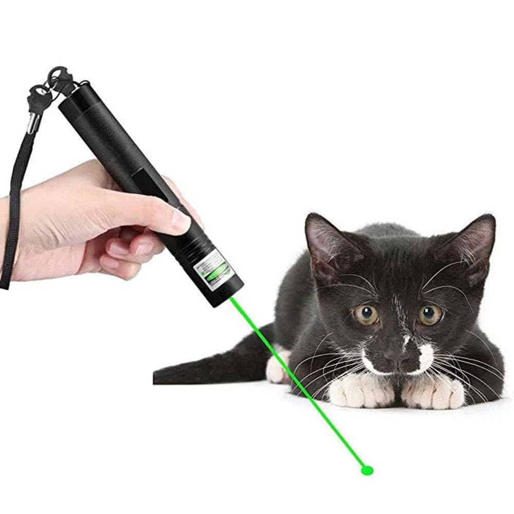 Grøn og rød laserpointer med stråle til præsentationer og stjernekiggeri