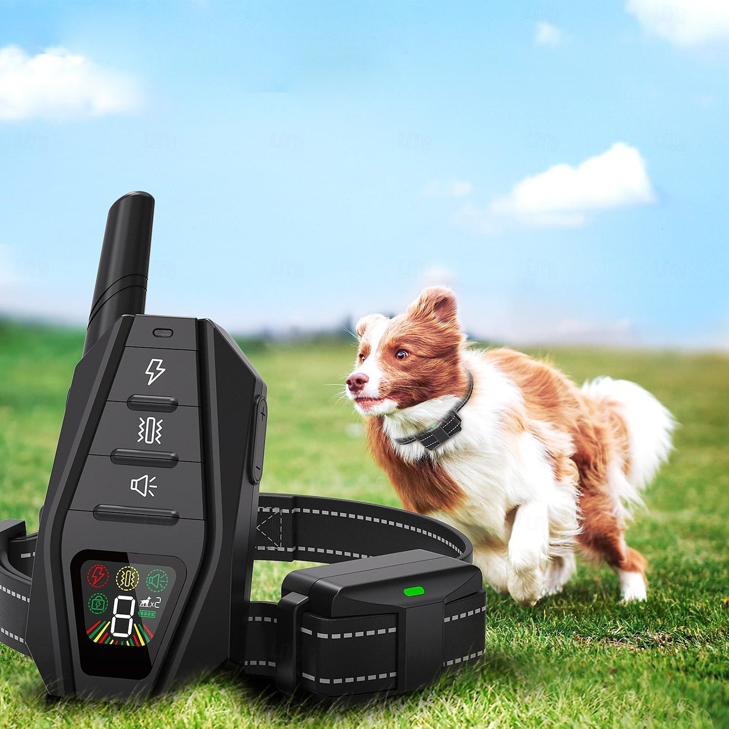 AstraTrail Pro Waterproof Remote Dog Training Collar, IPX7, 1000M Range