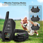 AstraTrail Pro Waterproof Remote Dog Training Collar, IPX7, 1000M Range