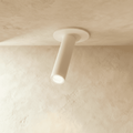NovaGlow Modern Aluminum Ceiling Light With 60 Degree Adjustable Tilt